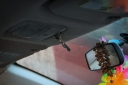 Filename=EUM20260210SOC04.JPG
Filesize=300KiB
Dimensions=1598x1063
Date added=Feb 10, 2026 EUM20260210SOC04.JPG