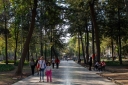 Filename=EUM20260211SOC33.JPG
Filesize=2908KiB
Dimensions=2048x1365
Date added=Feb 11, 2026 EUM20260211SOC33.JPG