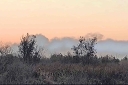 Filename=EUM20260217SOC26.JPG
Filesize=1428KiB
Dimensions=2048x1365
Date added=Feb 17, 2026 EUM20260217SOC26.JPG