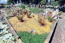 Filename=EUM20260218SOC49.JPG
Filesize=3792KiB
Dimensions=2048x1365
Date added=Feb 18, 2026 EUM20260218SOC49.JPG