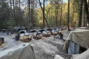 Filename=EUM20260421NAC10.JPG
Filesize=1999KiB
Dimensions=2048x1365
Date added=Apr 21, 2026 EUM20260421NAC10.JPG