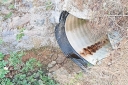 Filename=EUM20260422SOC53.JPG
Filesize=3036KiB
Dimensions=2048x1365
Date added=Apr 22, 2026 EUM20260422SOC53.JPG