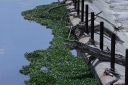 Filename=EUM20260502NAC18.JPG
Filesize=2246KiB
Dimensions=2048x1365
Date added=May 02, 2026 EUM20260502NAC18.JPG