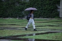 Filename=EUM20260519SOC21.JPG
Filesize=1518KiB
Dimensions=2048x1365
Date added=May 19, 2026 EUM20260519SOC21.JPG