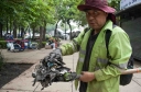 Filename=EUM20260701SOC03.JPG
Filesize=97KiB
Dimensions=1595x1059
Date added=Jul 01, 2026 EUM20260701SOC03.JPG