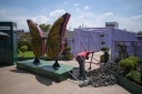 Filename=EUM20260722SOC14.JPG
Filesize=1905KiB
Dimensions=2048x1365
Date added=Jul 22, 2026 EUM20260722SOC14.JPG
